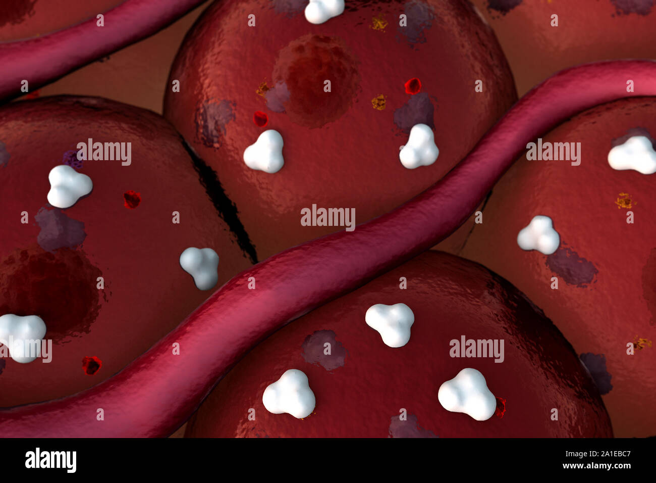 Proteina sulla superficie cellulare, recettori e vena sulla superficie di cellule Foto Stock