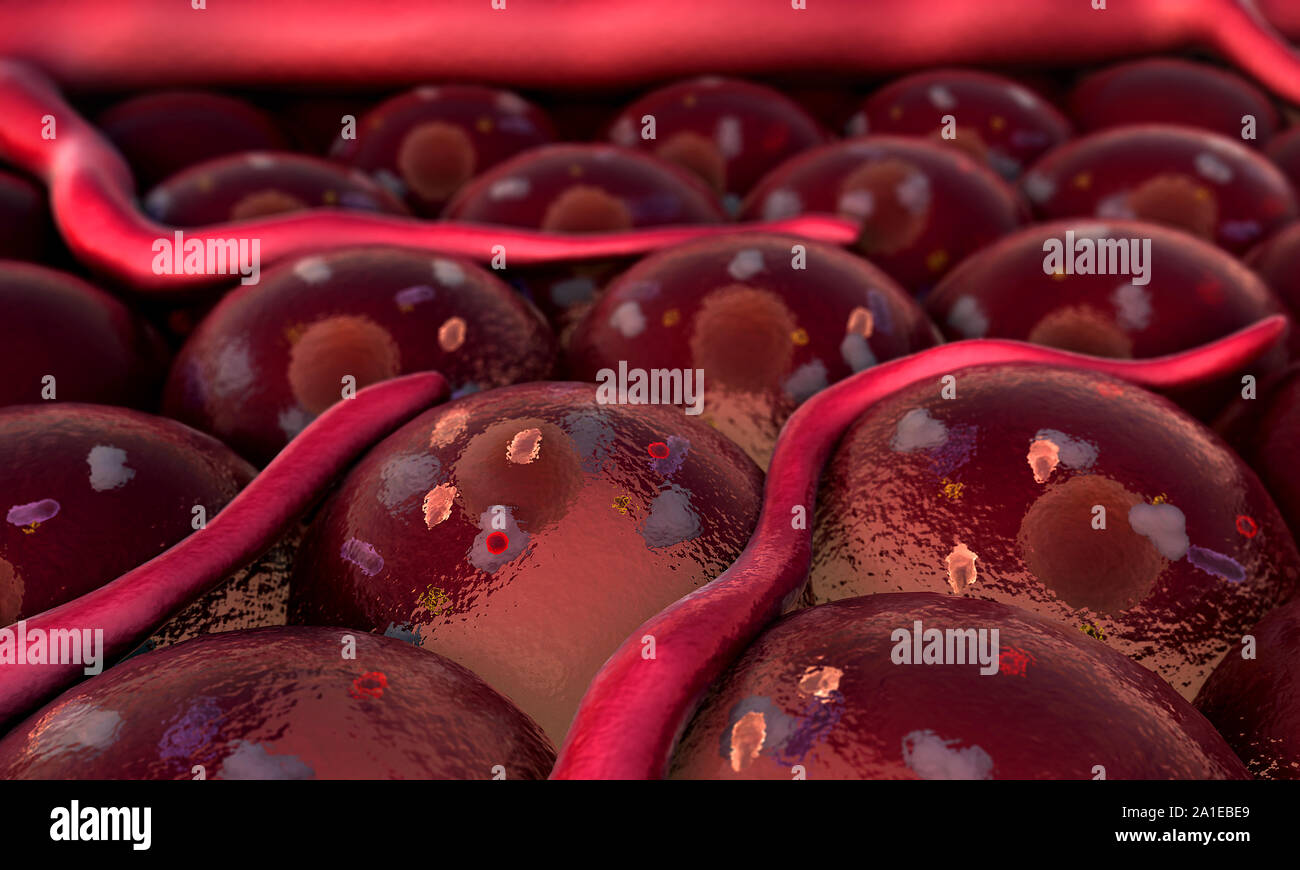 Proteina sulla superficie cellulare, recettori e vena sulla superficie di cellule Foto Stock