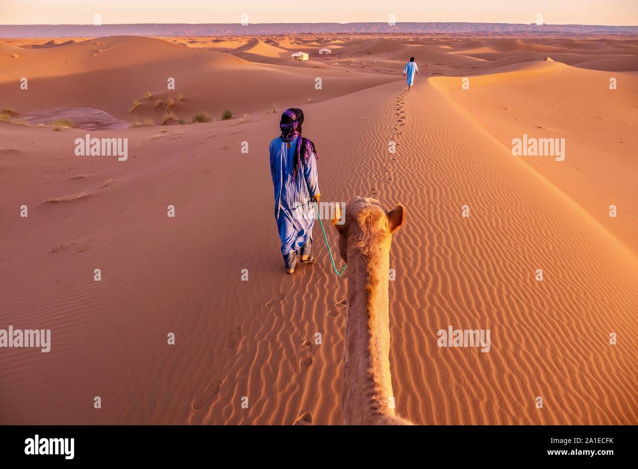 Nomadi due uomini vestiti in abiti tradizionali portano un cammello attraverso le dune di sabbia verso un Tented Camp nel deserto del Sahara, Marocco. Foto Stock