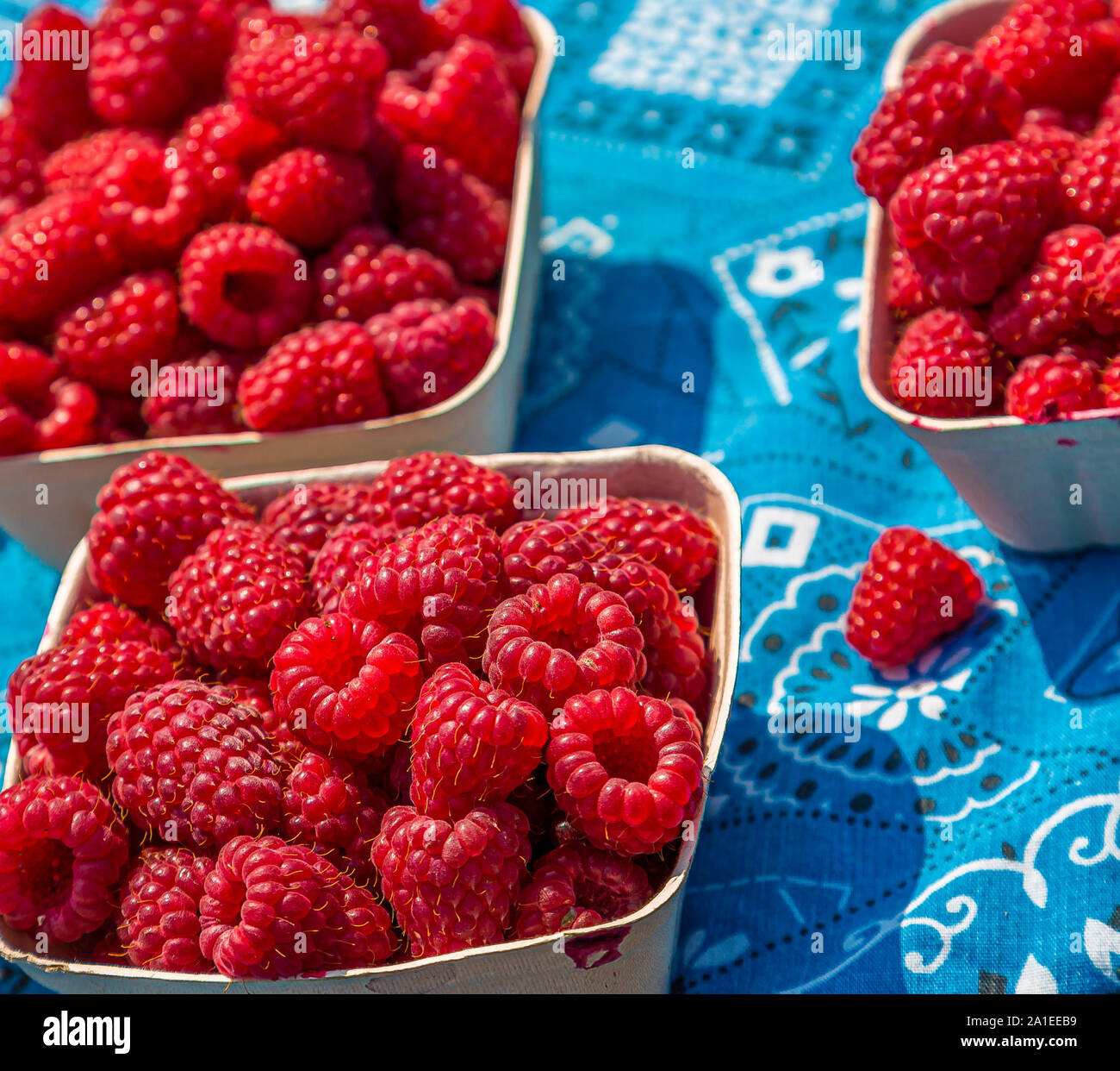 Rosso e arancio dei lamponi in un mercato della frutta Foto Stock