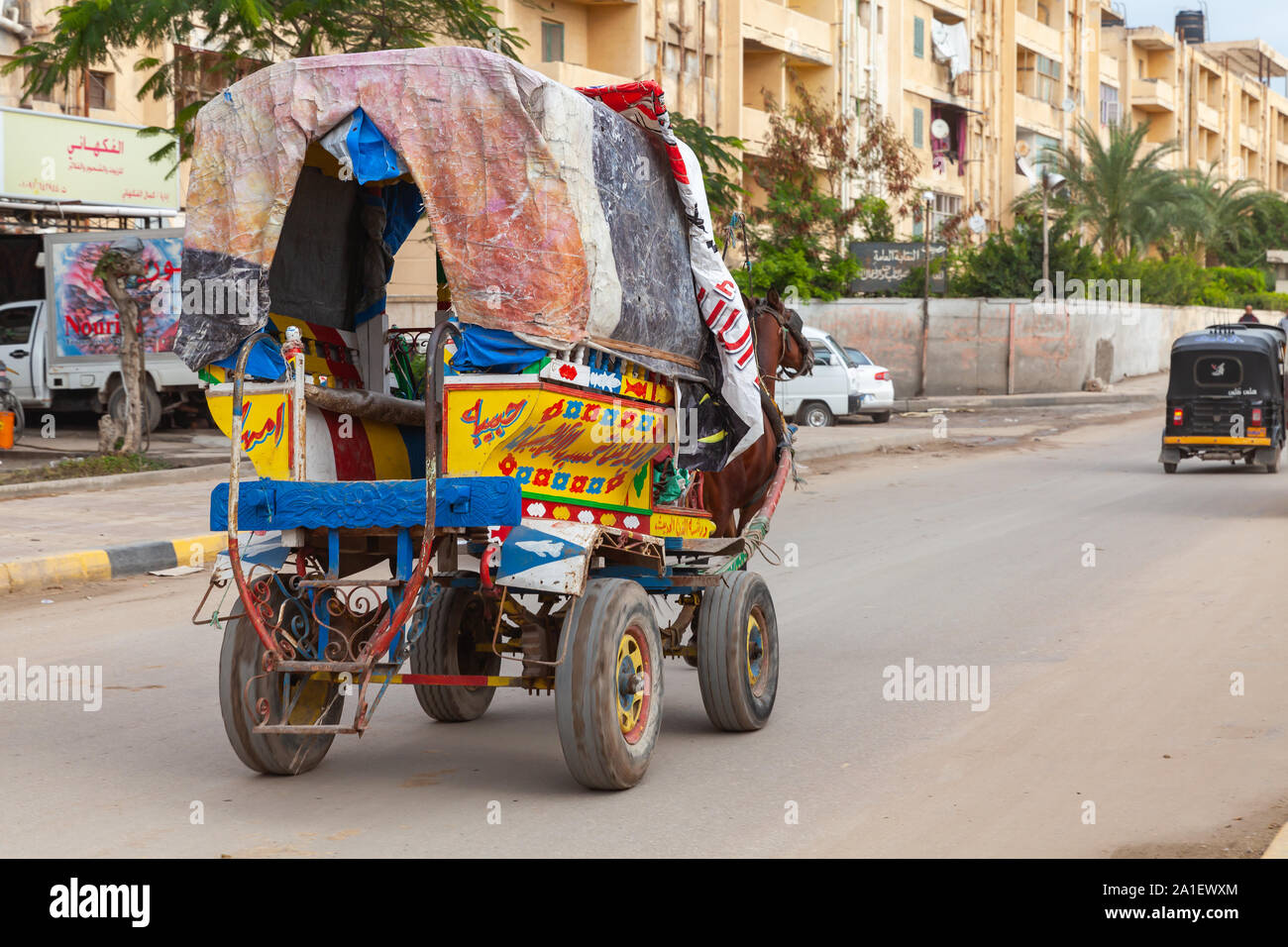 Alessandria, Egitto - 20 dicembre 2018: colorati carrello a cavallo con i passeggeri e cocchiere corse su una sporca strada bagnata di Alessandria Foto Stock