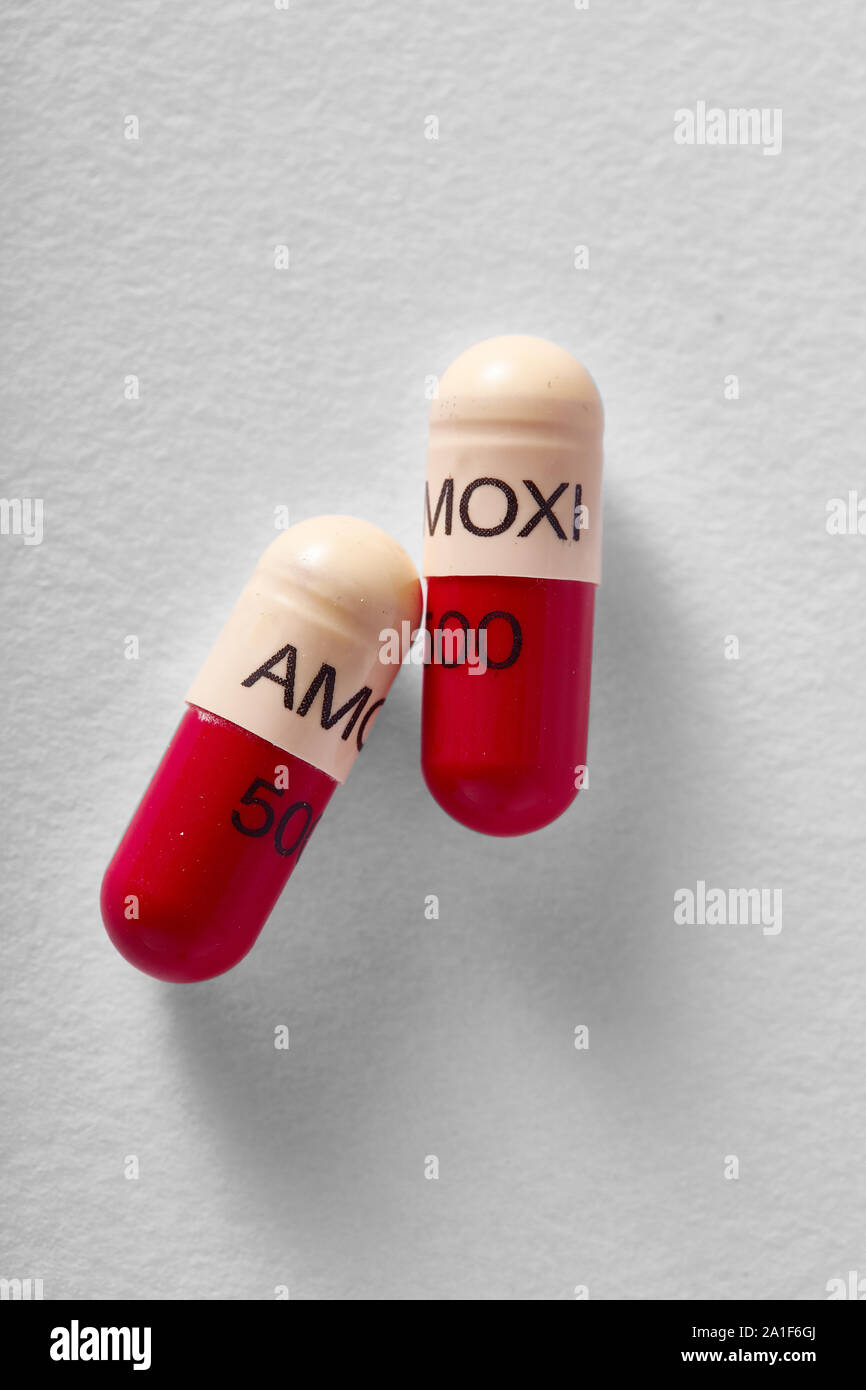 Amoxicillina capsule Foto Stock