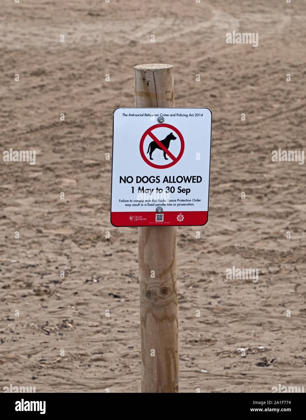 Un segno che avverte che i cani non sono ammessi sulla spiaggia in Weston-super-Mare, Regno Unito tra il 1 maggio e il 30 settembre. Foto Stock