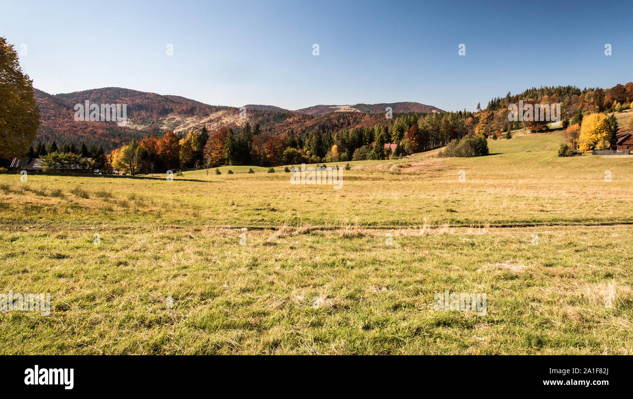 Autunno bello e mite Beskid Zywiecki montagne vicino Przegibek in Polonia con prato e colorati di alberi, colline e cielo chiaro Foto Stock
