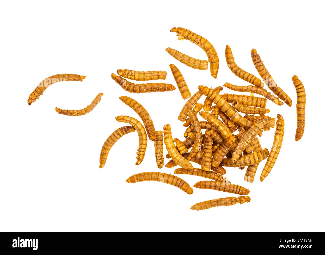Essiccato mealworms, larve di Tenebrio molitor. Gli insetti commestibili qui crisped e barbecue sapore. Isolato su sfondo bianco. Proteina. Foto Stock