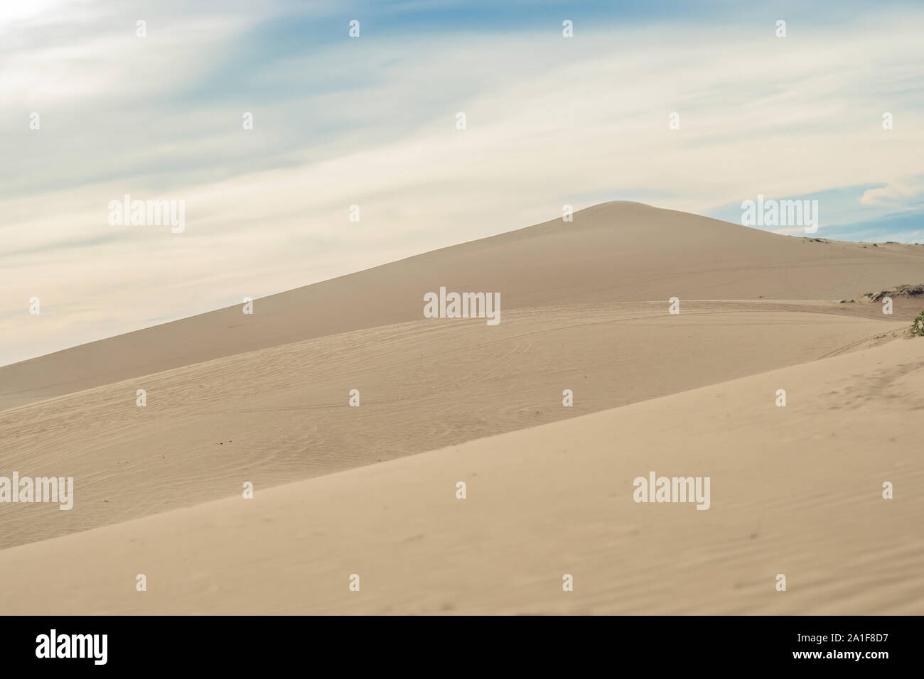 Giallo sabbia nel deserto, Mui Ne, Vietnam Foto Stock