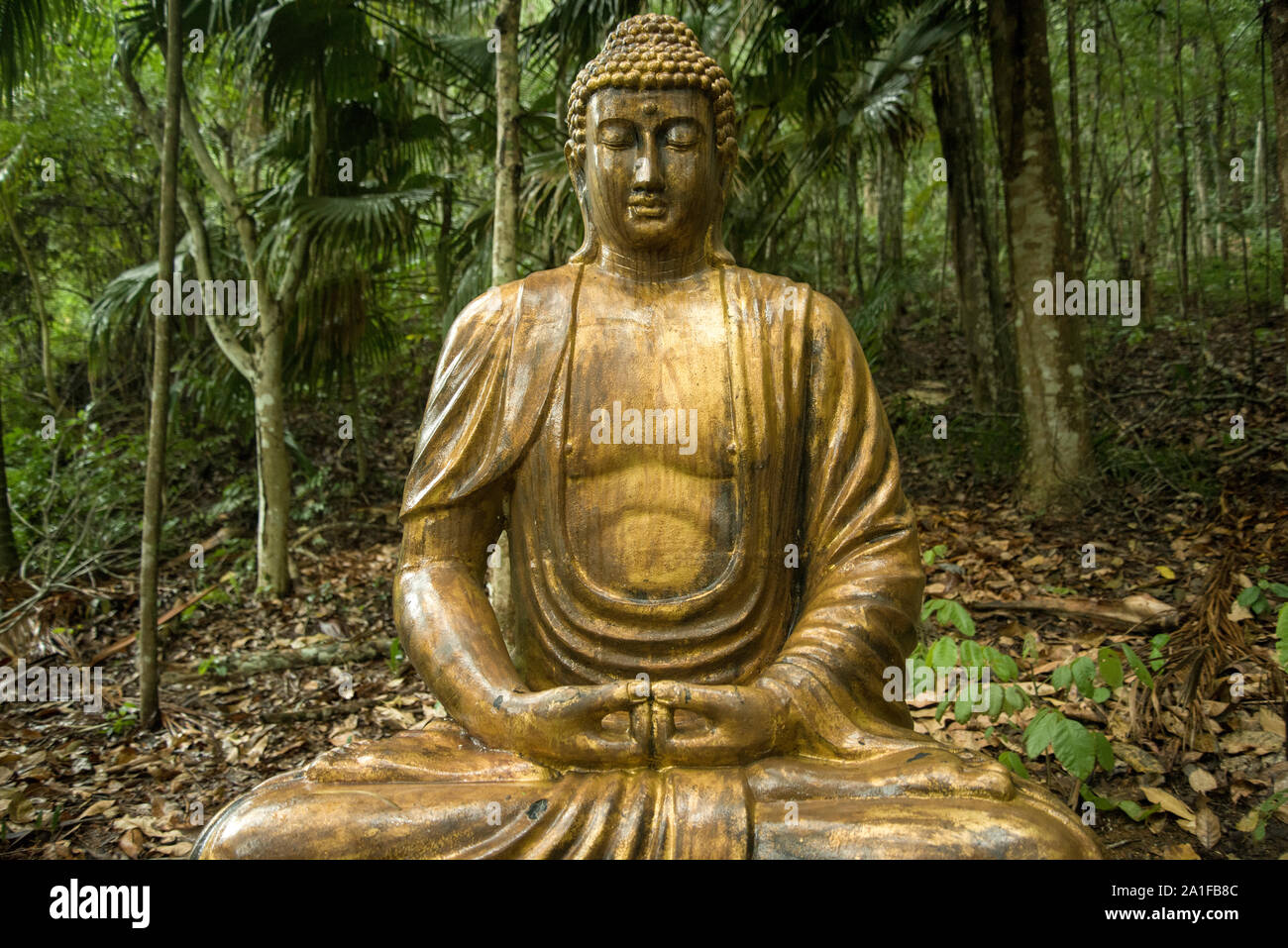 Statua del Buddha nella foresta atlantica Foto Stock