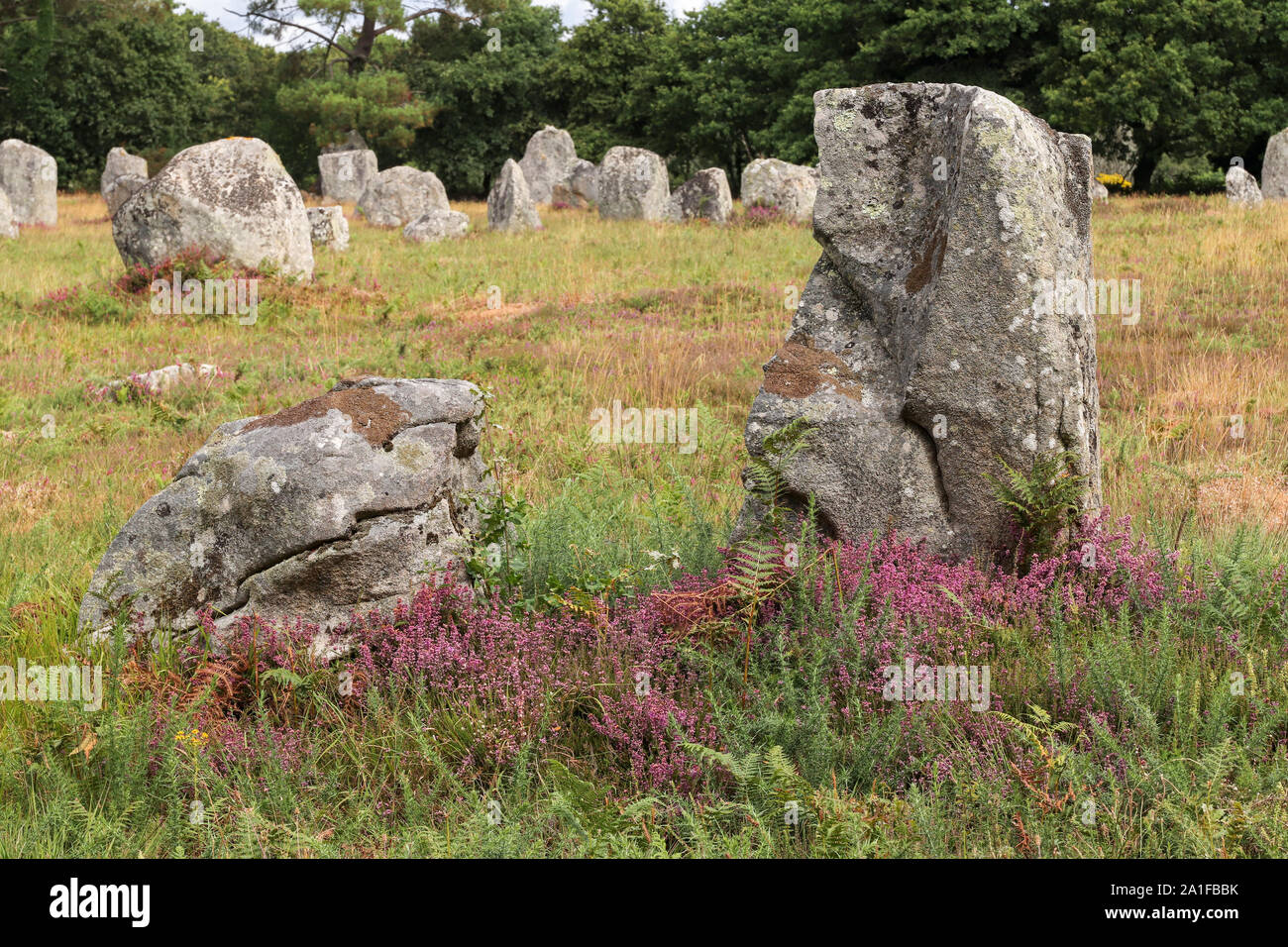 I menhir della Alignements di Kerlescan, filari di pietre permanente, il più grande sito megalitico nel mondo, Carnac, Brittany, Francia Foto Stock