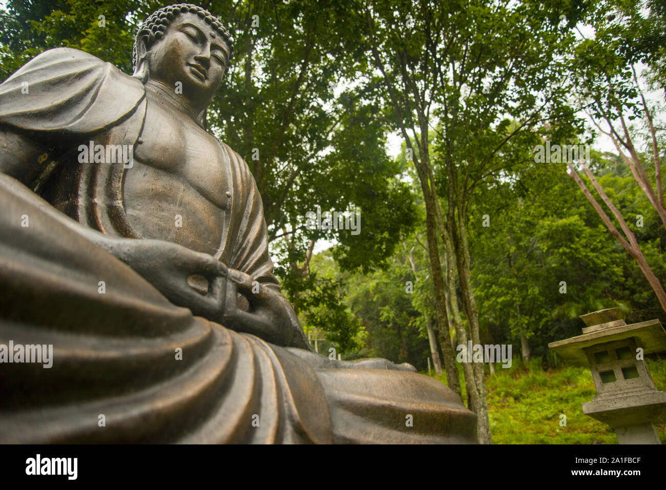 Basso angolo vista della statua del Buddha nella foresta atlantica Foto Stock