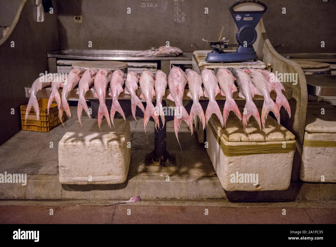 Pesci su un cavalletto di ver-o-mercato in pesos al mattino presto Foto Stock