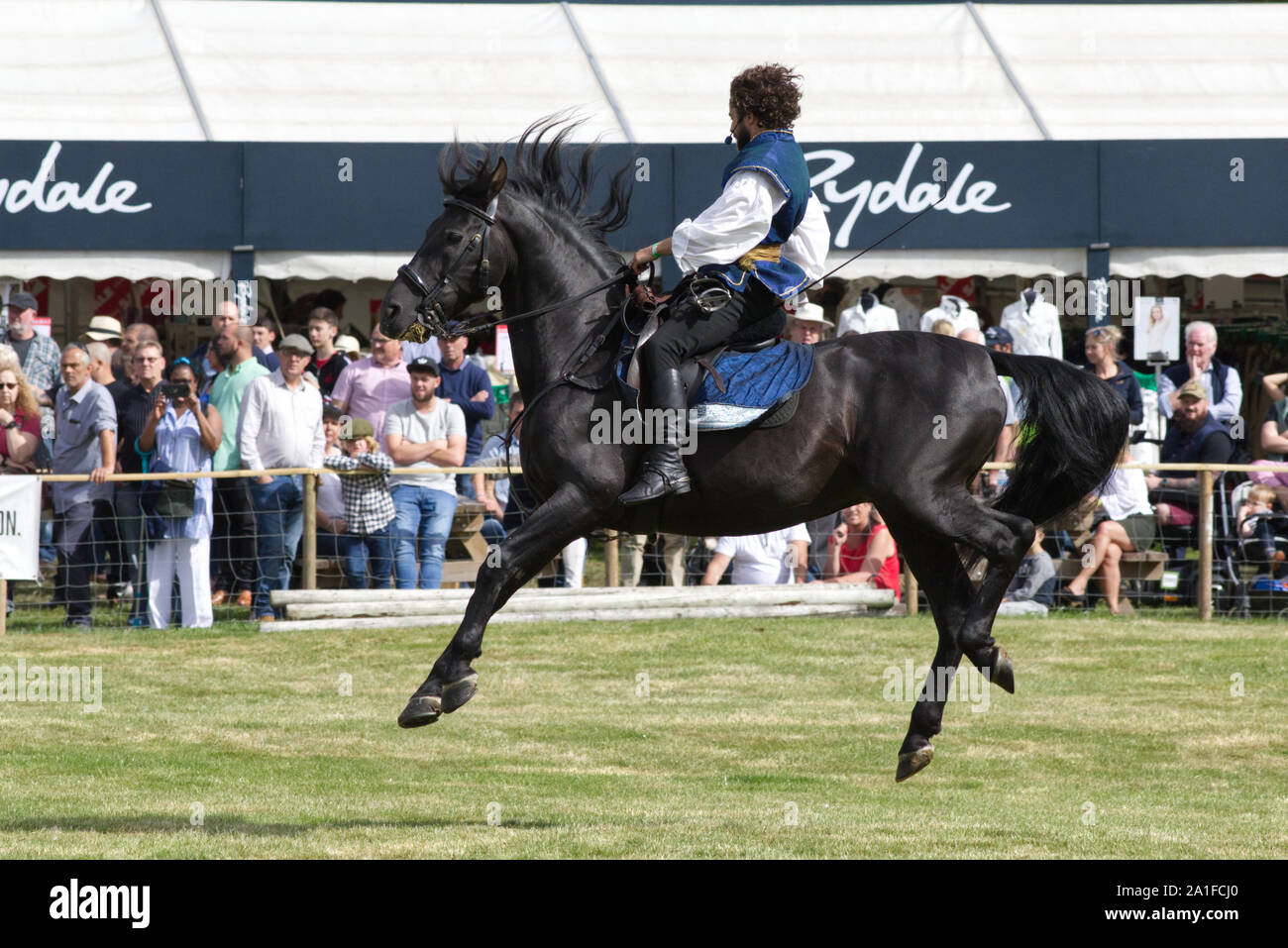 Cavallo e cavaliere salta in aria Foto Stock