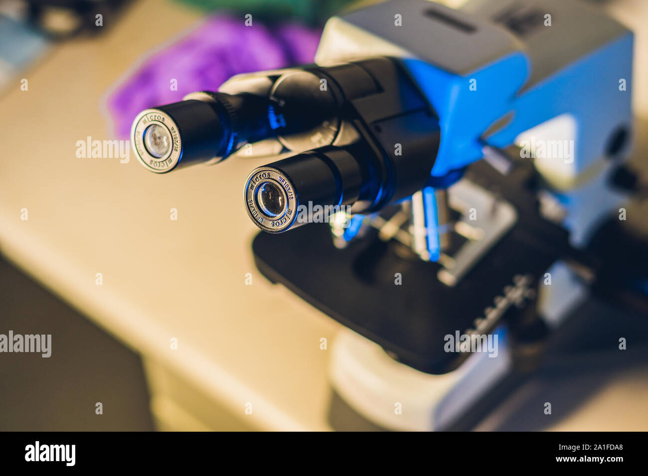 Microscopio ottico in un laboratorio biologico. Lo studio di campioni biologici Foto Stock