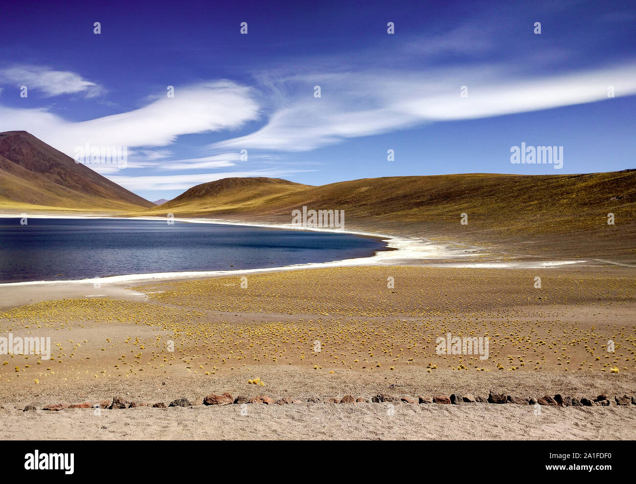 Incredibile Lago Miscanti negli altopiani del Cile vicino a San Pedro de Atacama e Salar de Tara, un bel salato e dintorni Foto Stock