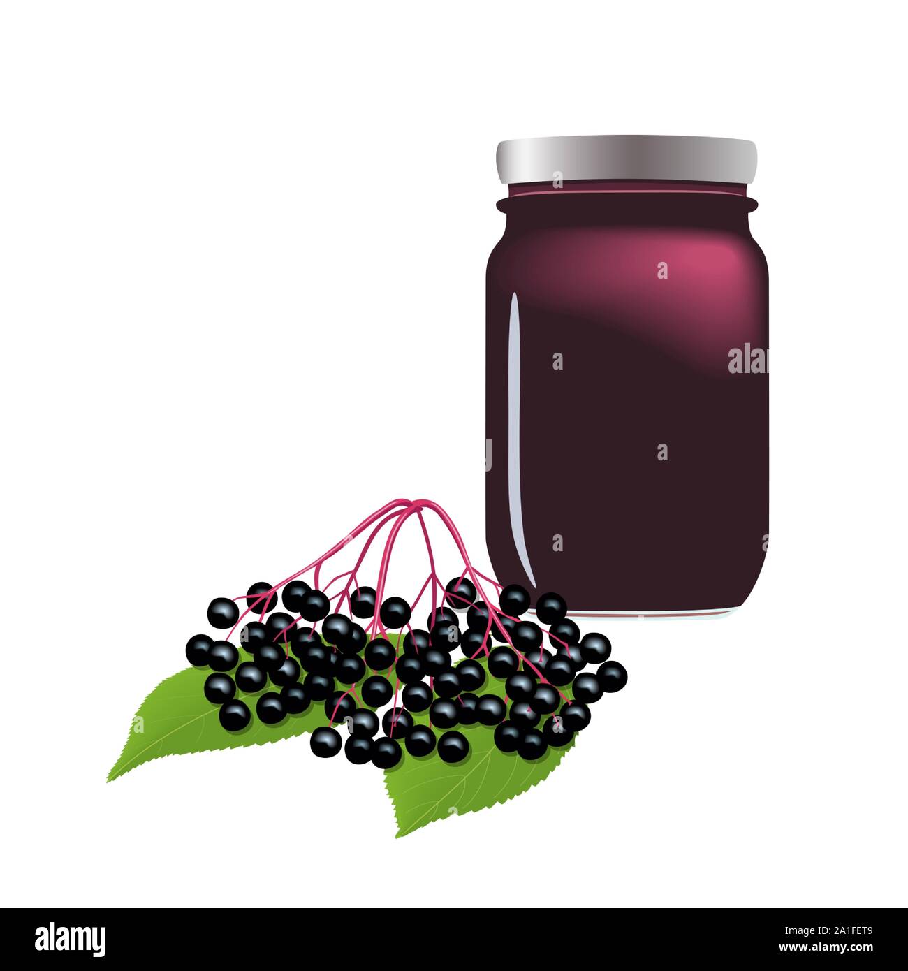 Il sambuco inceppamento nel vaso, può con sciroppo. Rametto con bacche e foglie. Sambucus. Il sambuco nero impianto Illustrazione Vettoriale