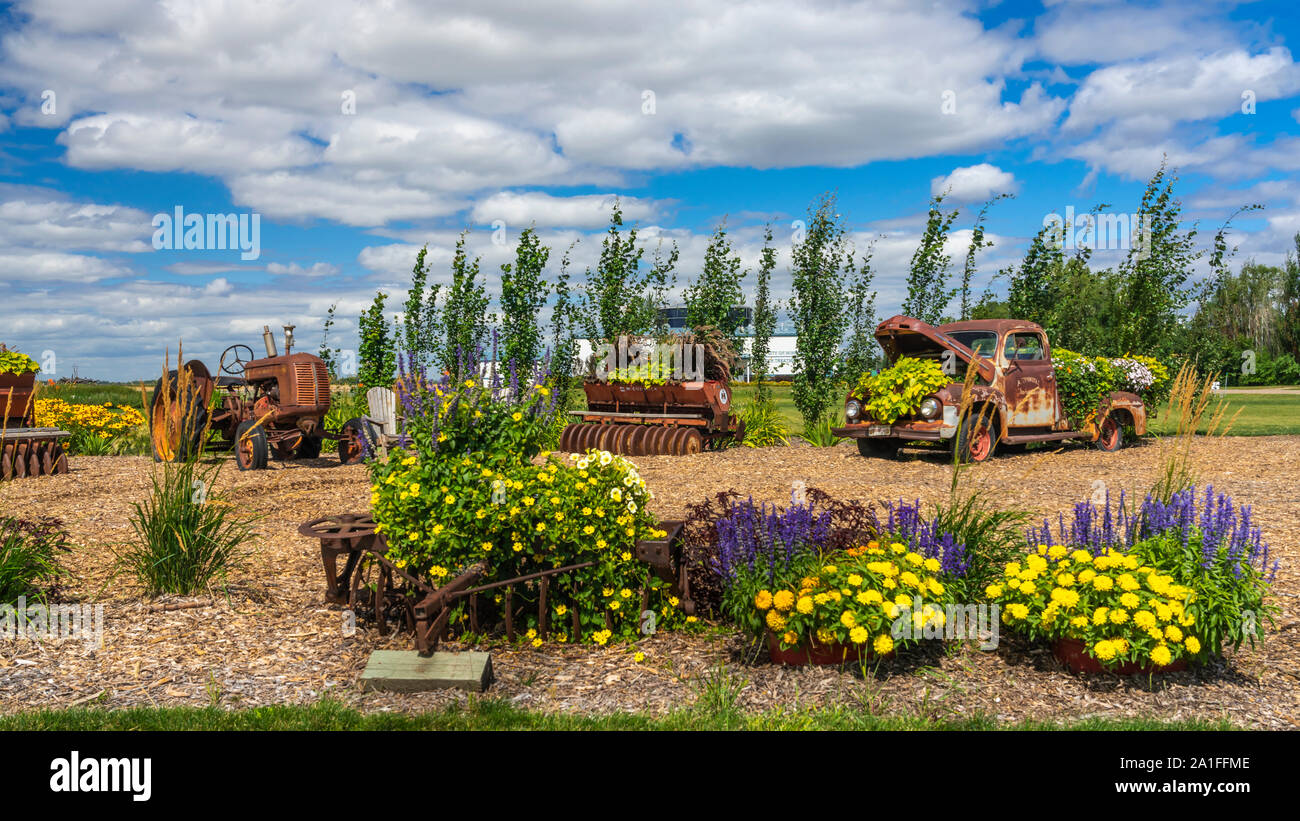 Fiori, vecchi attrezzi e veicoli all'Parkside Pioneer Patch exhibt vicino Winkler, Manitoba, Canada. Foto Stock
