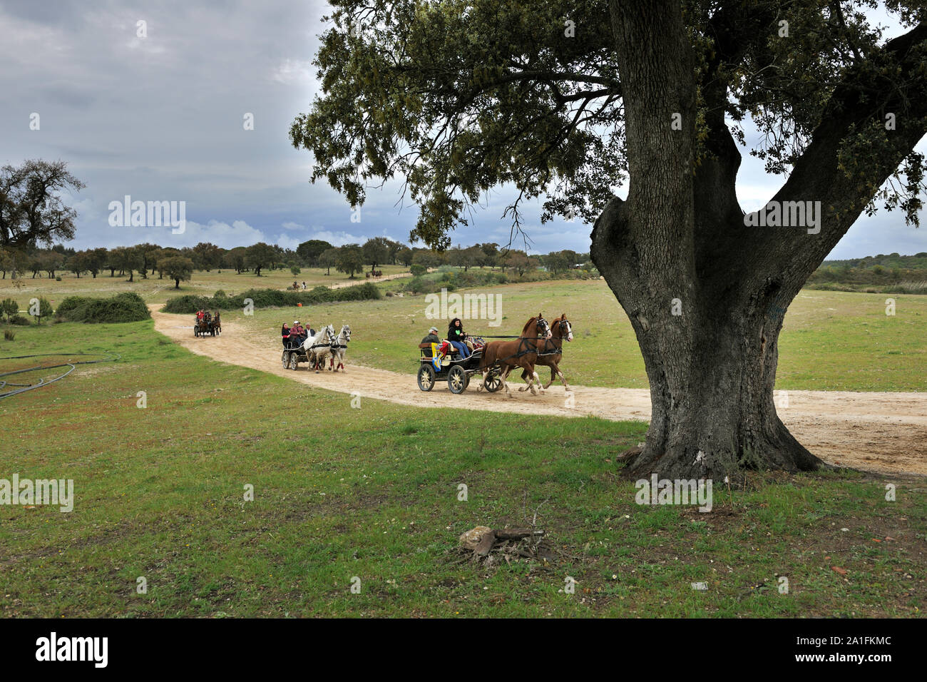 Un pellegrinaggio a cavallo in Alentejo. Cavallo persone praticare equitazione come espressione del patrimonio di cultura e di fede attraverso il pellegrinaggio a cavallo. V Foto Stock