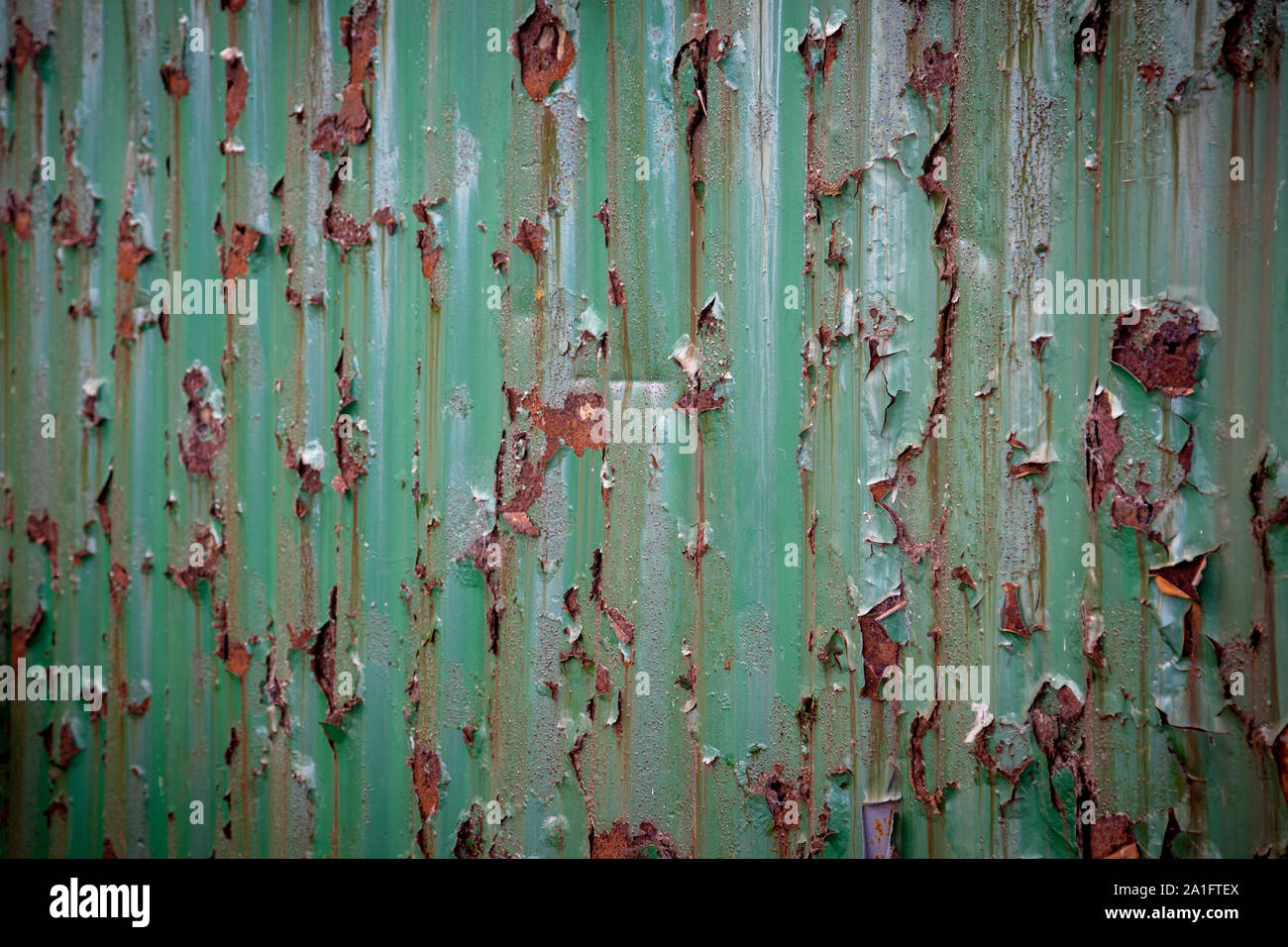 Verde ruggine sul ferro corrogated Foto Stock