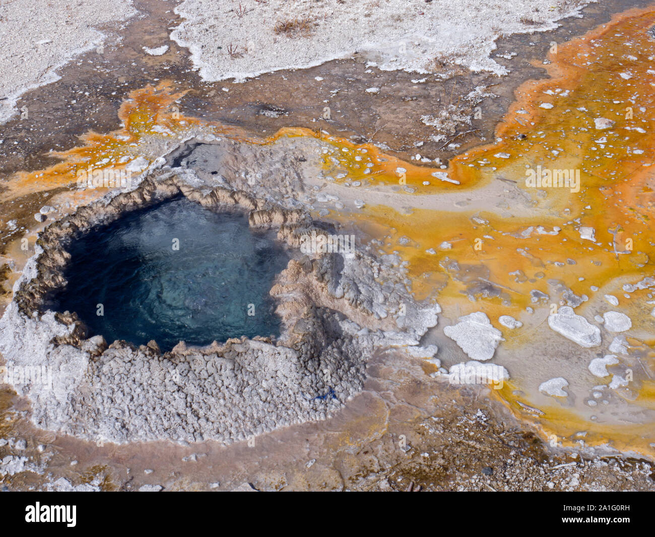 Anemone Geyser e depositi minerali, Upper Geyser Basin, il Parco Nazionale di Yellowstone, Wyoming USA Foto Stock