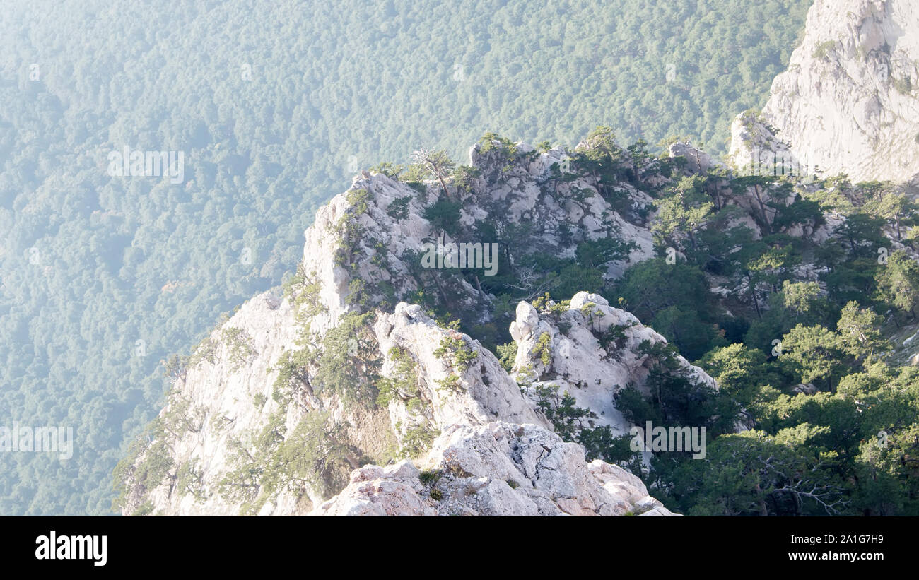 Macroslope meridionale dei monti della Crimea dalla roccia con una cinghia di ginepro-boschi di quercia (botti di quercia di macchia e canneti (sibljak, macchia mediterranea) Foto Stock