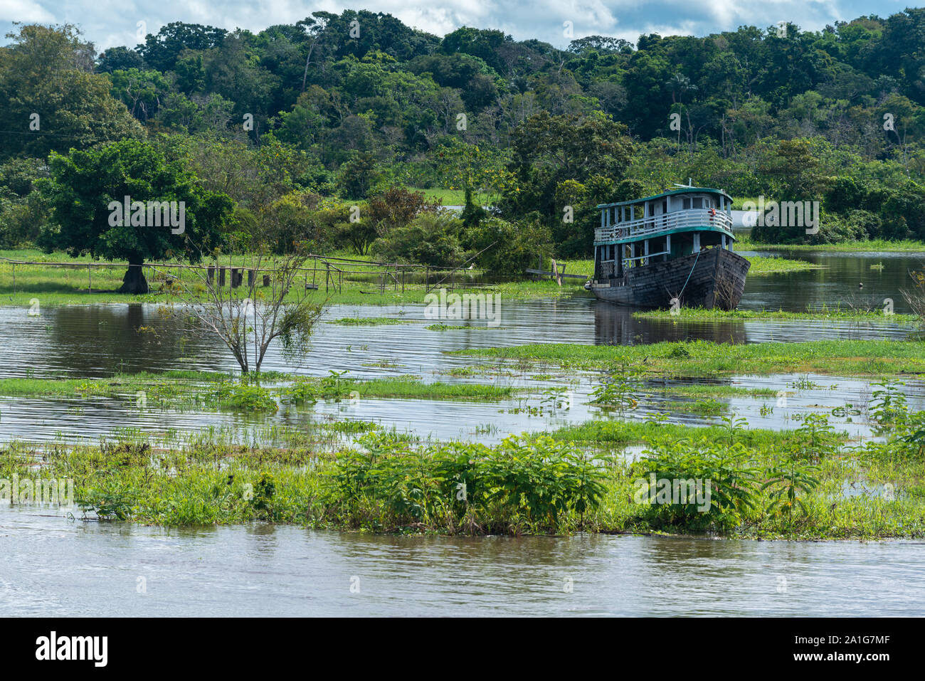 Obersations su una due giorni di viaggio in barca da Manaus a Tefé, il mese di maggio, Rio Solimoes, Amazonas, fine della stagione piovosa,l'Amazzonia, Brasile, America Latina Foto Stock