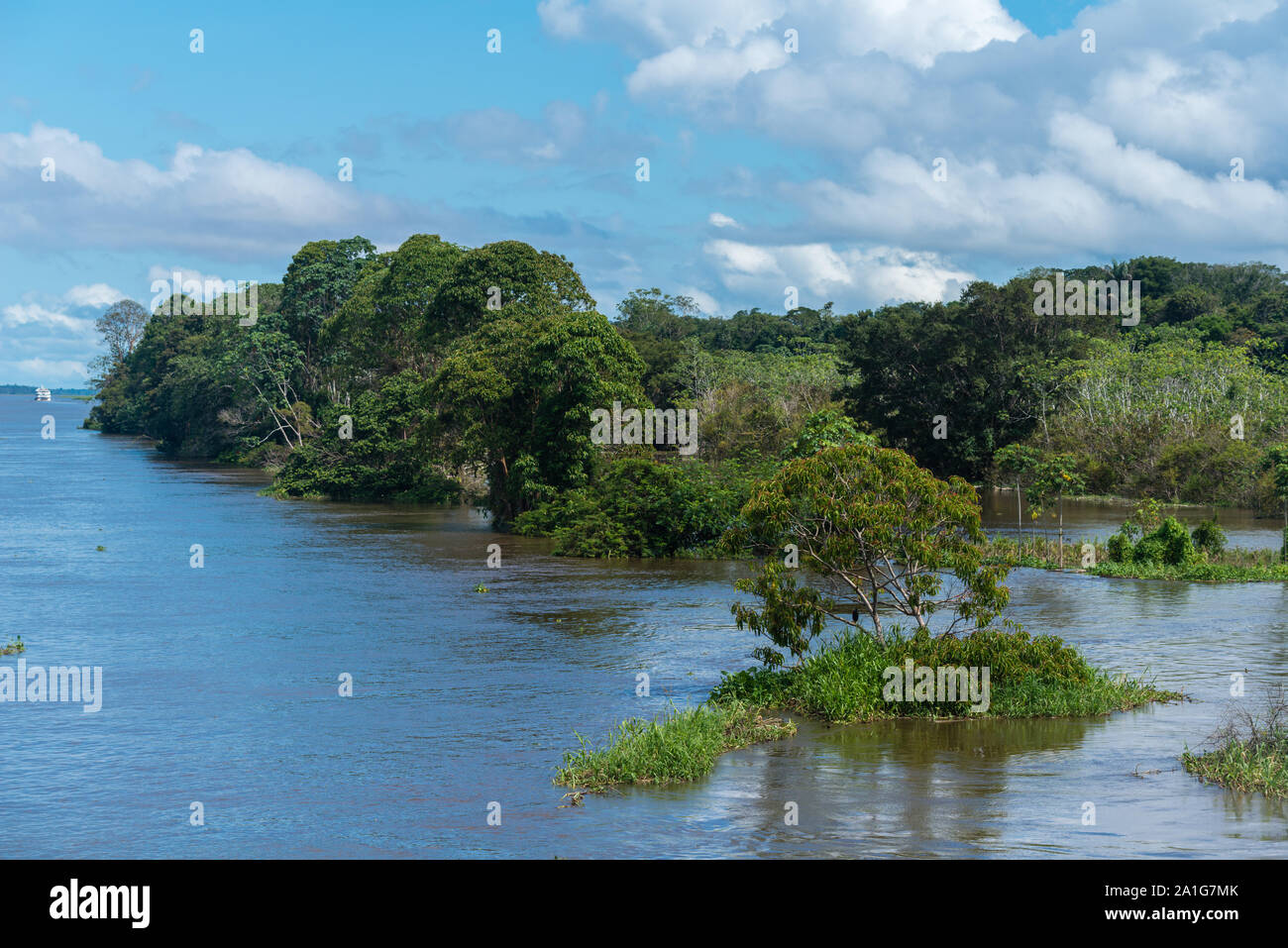 Obersations su una due giorni di viaggio in barca da Manaus a Tefé, il mese di maggio, Rio Solimoes, Amazonas, fine della stagione piovosa,l'Amazzonia, Brasile, America Latina Foto Stock