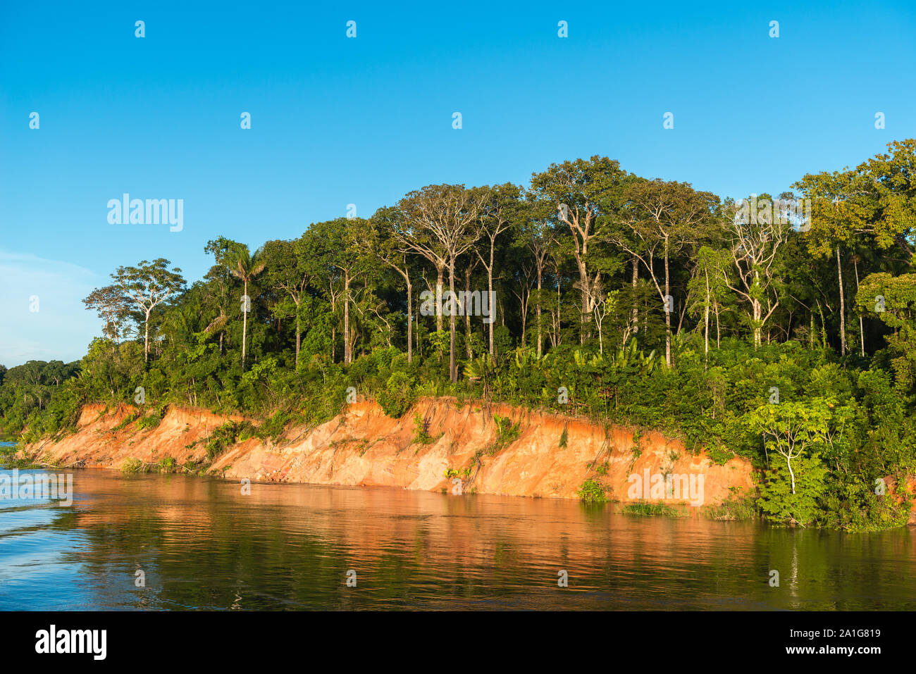 Obersations su una due giorni di viaggio in barca da Manaus a Tefé, il mese di maggio, Rio Solimoes, Amazonas, fine della stagione piovosa,l'Amazzonia, Brasile, America Latina Foto Stock