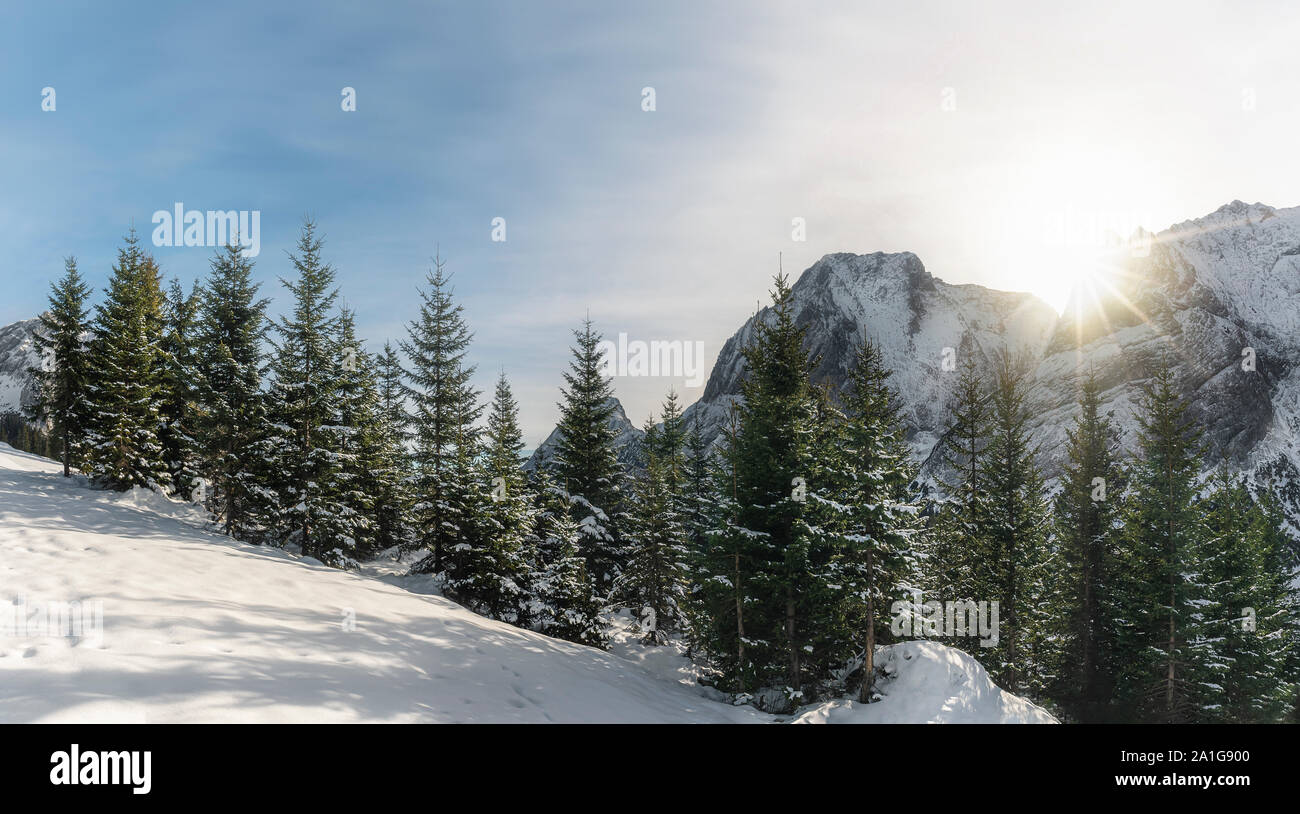 Soleggiato paesaggio invernale con cime innevate vette, neve abeti e il cumulo di neve, sotto i raggi del sole, in Ehrwald, Austria, in un freddo giorno di dicembre. Foto Stock