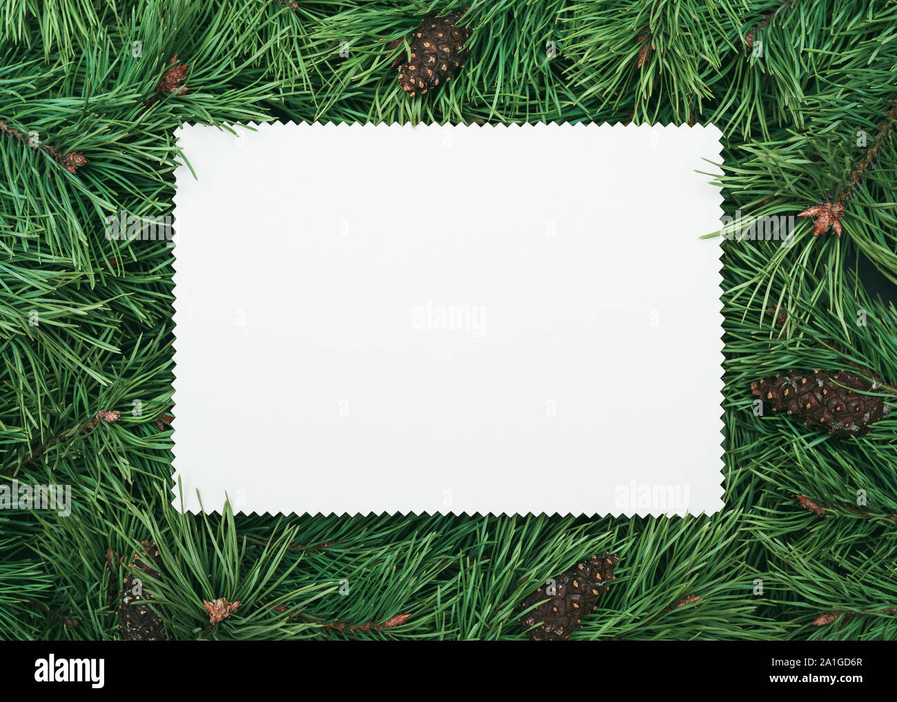 Ramo di pino telaio con nota di bianco foglio di carta fo testo. Natale e Anno Nuovo sfondo Foto Stock