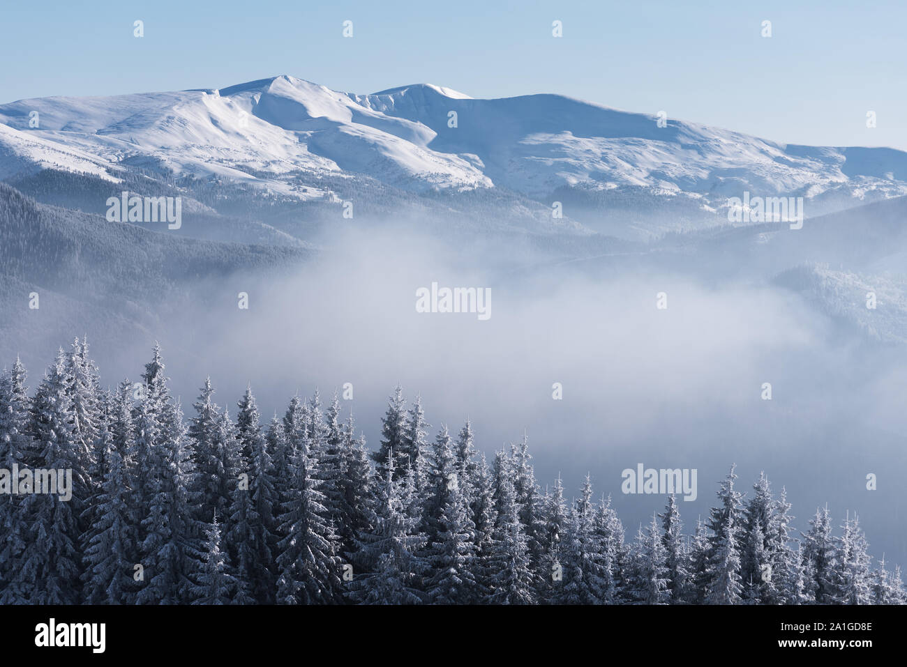 Vista del crinale nevoso. Paesaggio invernale con foreste di abete rosso nella neve e montagne. Giornata soleggiata con la nebbia Foto Stock