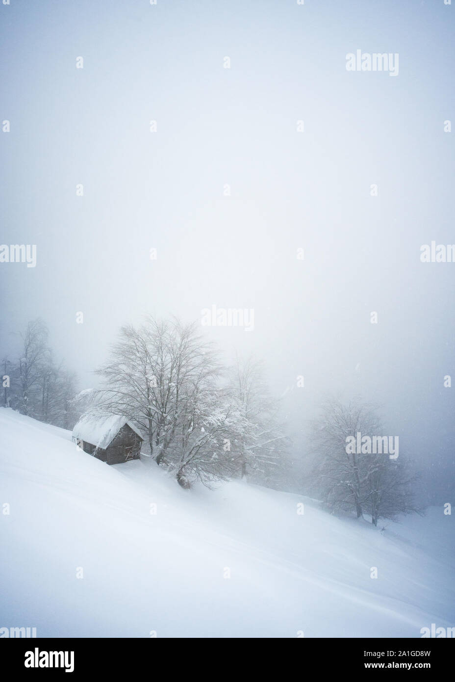 Paesaggio invernale con una casa isolata in una montagna innevata foresta. Paesaggio nuvoloso con nebbia Foto Stock