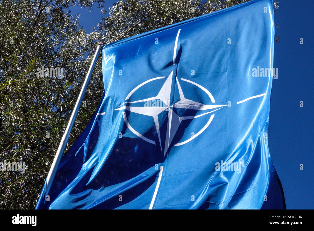 Bandiera NATO su un palo contro un albero, cielo blu Foto Stock