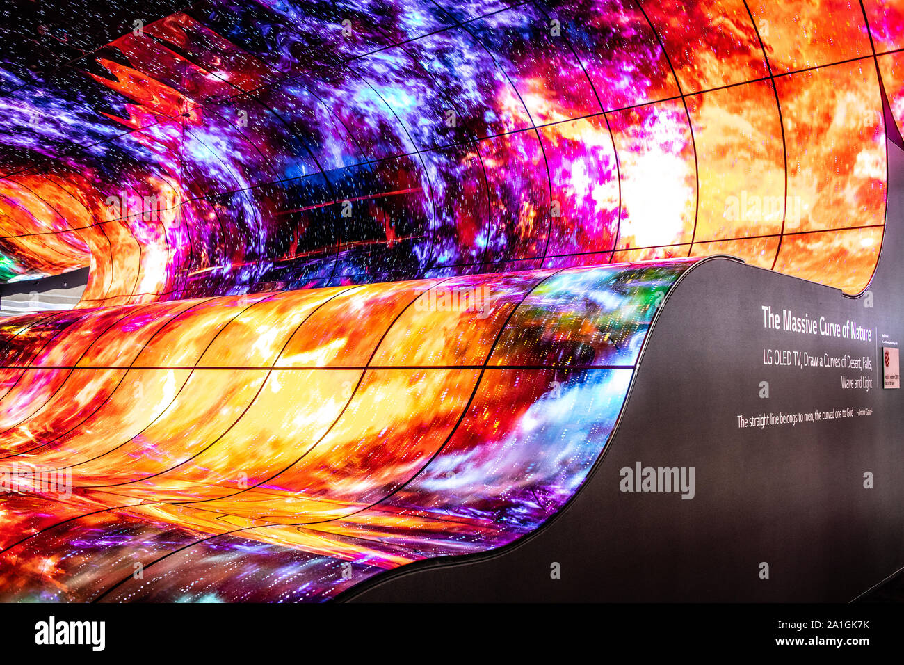 Berlino, Germania, Sep 2019, LG Display OLED Ultra HD HDR10 Smart Premium TV sul display, la grande curva della natura, innovazioni globali mostrano IFA 2019 Foto Stock