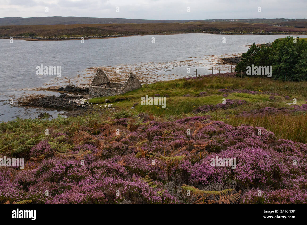 Vecchie case di pietra sono abbastanza comuni siti in tutta la Scozia. Immaginate quali storie potrebbero dire! Foto Stock