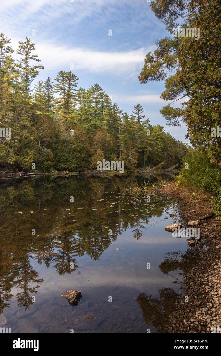 Vista dal kayak paddling attraverso il nord Algonquin Park all'inizio autunno Foto Stock