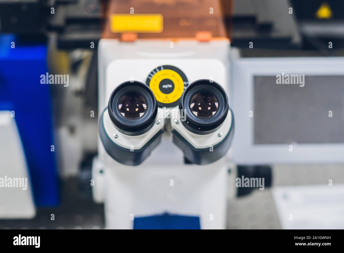 Confocale microscopio a scansione in laboratorio di campioni biologici di indagine. Foto Stock