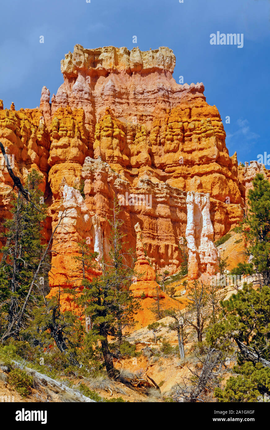 La sezione di Fairyland di Bryce Canyon National Park nello Utah Foto Stock