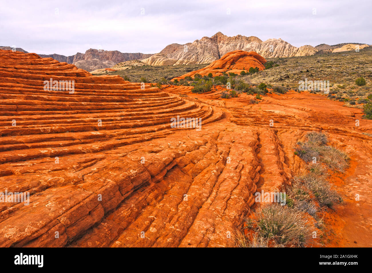 Congelate le dune di sabbia in Snow Canyon State Park in Utah Foto Stock