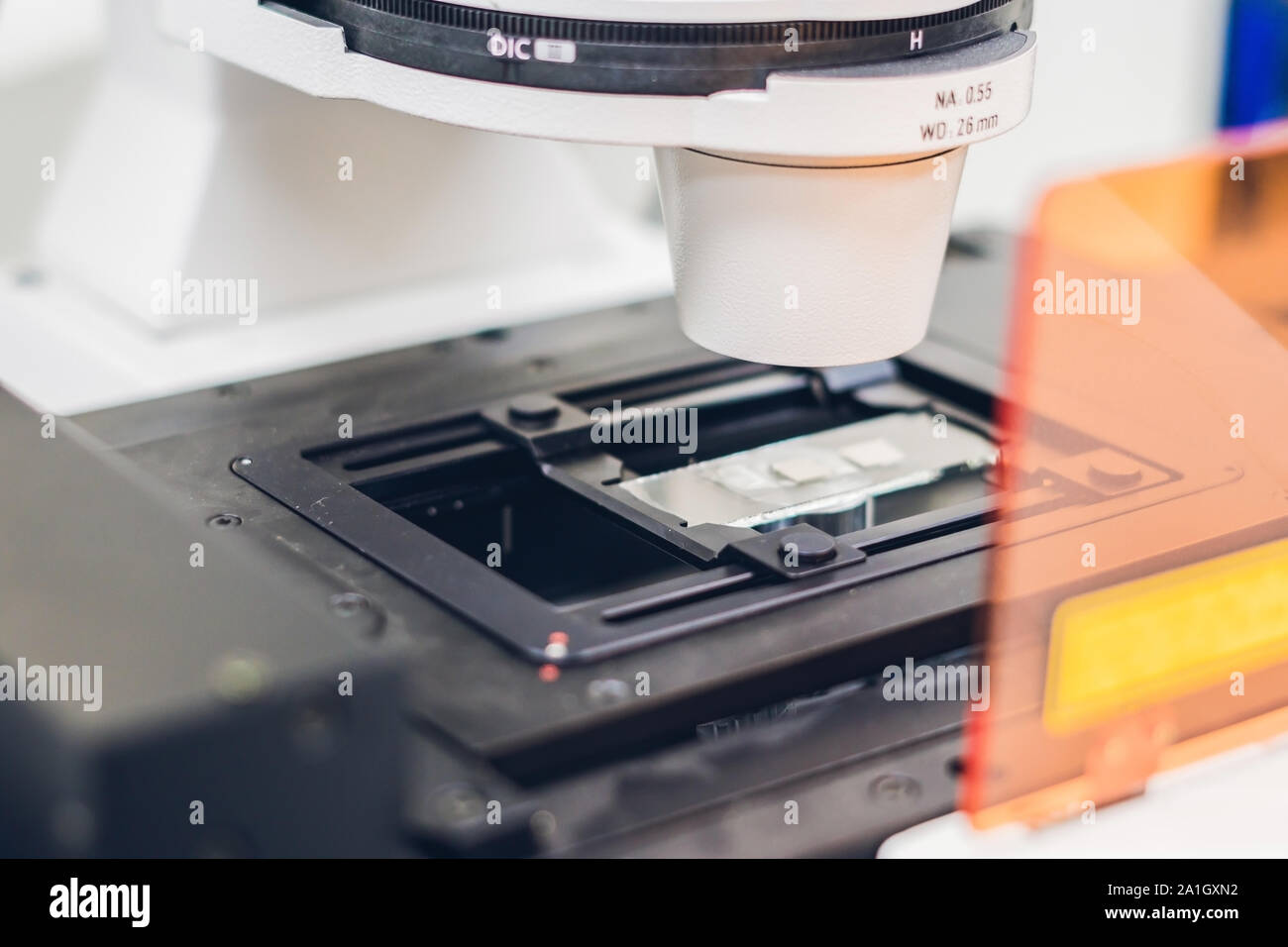 Confocale microscopio a scansione in laboratorio di campioni biologici di indagine. Foto Stock