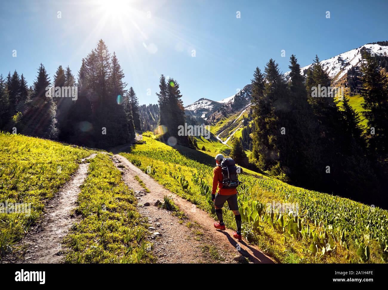 Turisti in maglietta arancione con zaino passeggiate in montagna. Esterno il concetto di viaggio Foto Stock