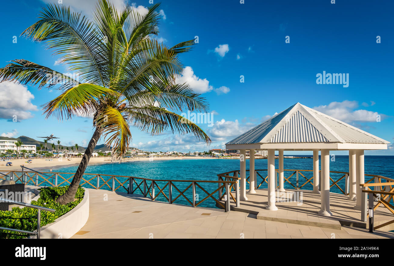 Romantico padiglione e il palm tree su St Maarten isola. Maho Bay beach sfondo. Foto Stock