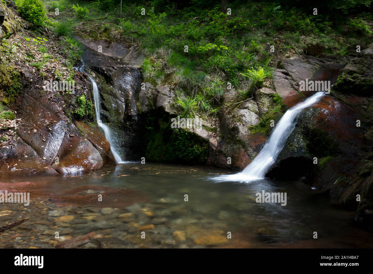 Due cascate formando un velo, a causa della lunga esposizione con filtro ND e polarizzatore circondato da wet shiny rocce e una foresta verde. Foto Stock