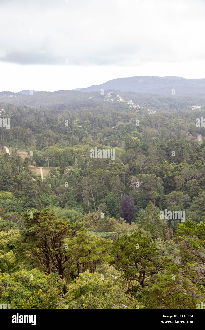Sintra paesaggio forestale viste in Portogallo Foto Stock