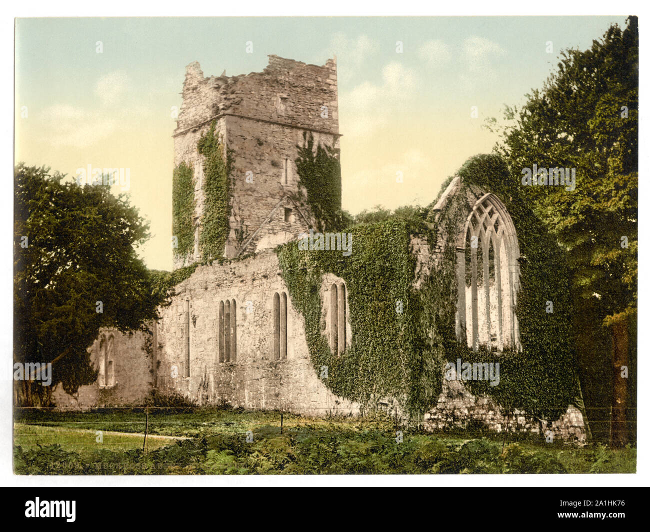 Abbazia Muckross, Killarney. Contea di Kerry, Irlanda; Foto Stock