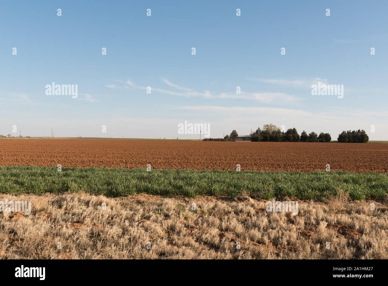 Terreni agricoli multicolore a ovest di Lamesa in Dawson County, Texas Foto Stock