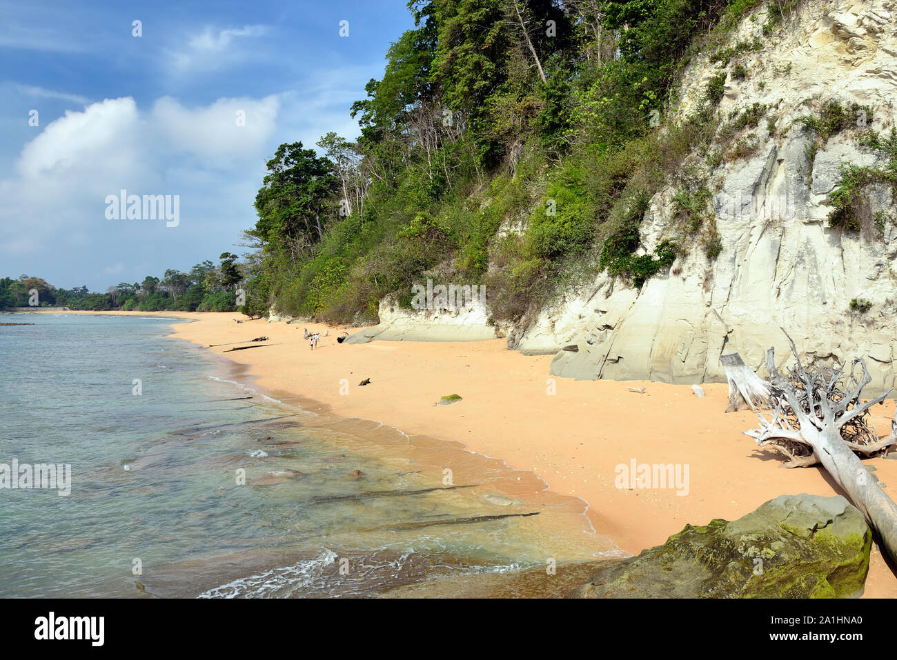 Sitapur spiaggia a Neil isola delle Isole Andamane e Nicobare, India Foto Stock