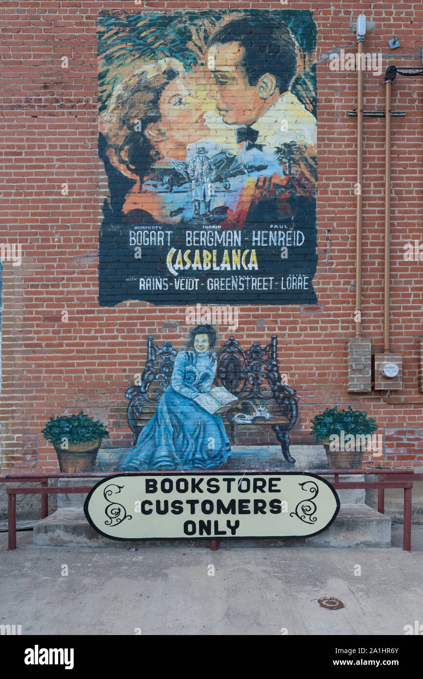 Murale dipinto da un artista Sunny DeLipsey di Atene, Texas, raffigurante un inizio di poster sulla parete posteriore dei libri e oscuri bookstore situato nel vecchio teatro Iris edificio in Terrell, Texas, a est di Dallas Foto Stock