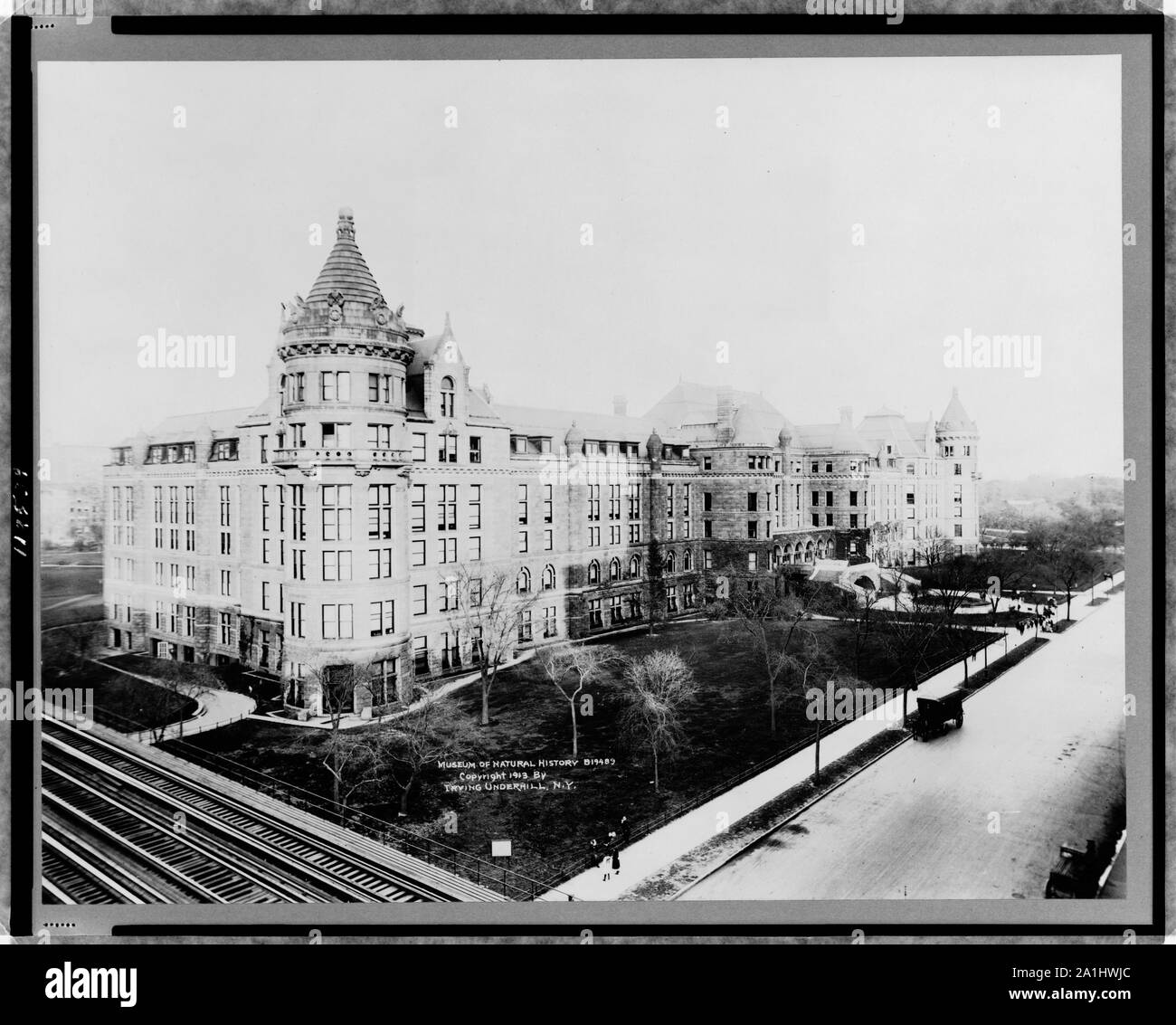 Museo di Storia Naturale Foto Stock