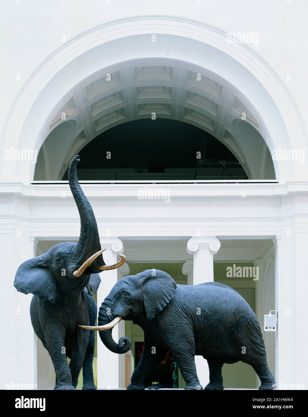 Museo di Storia Naturale, Chicago, Illinois Foto Stock