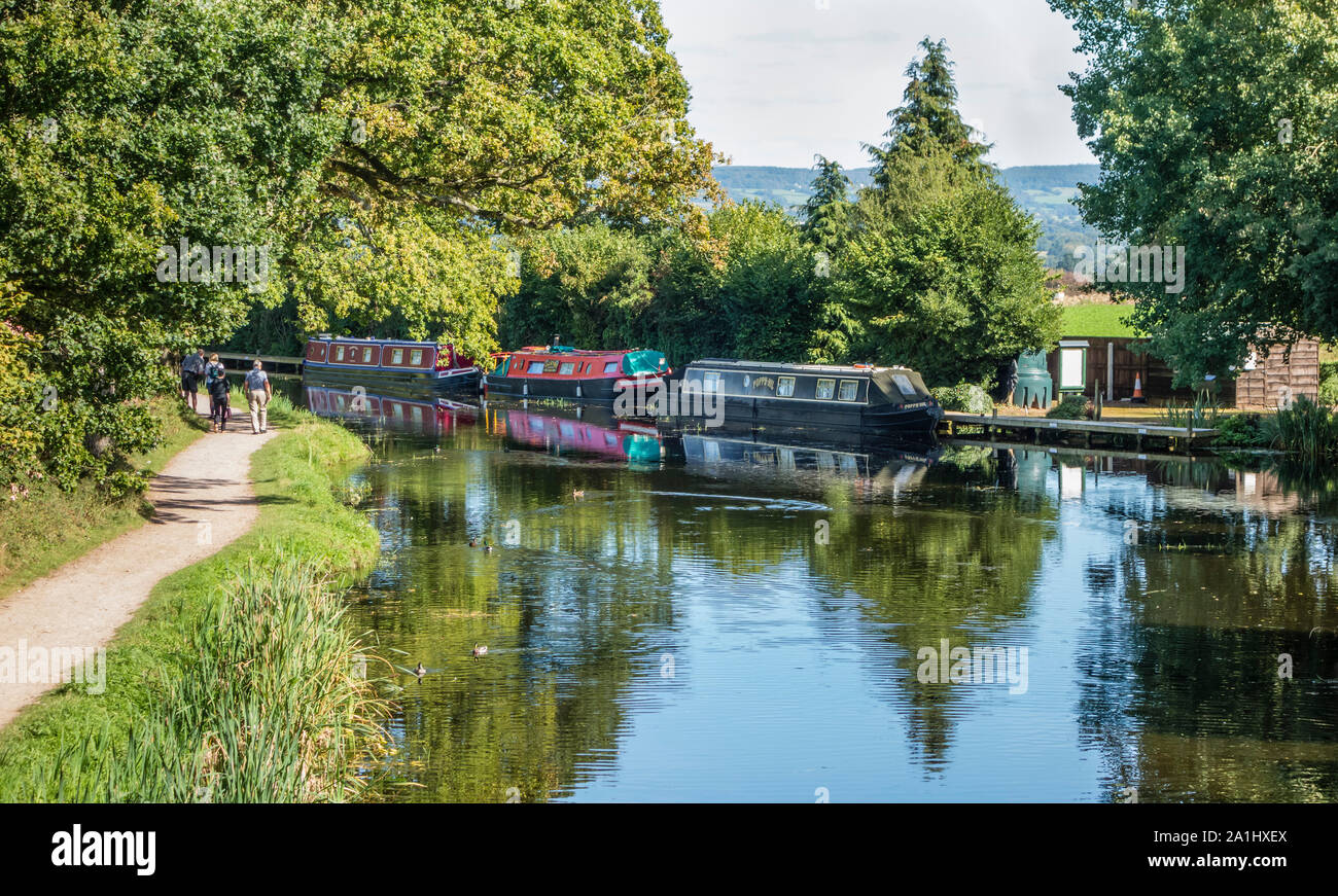 Chiatte ormeggiato sul Grand Canal Occidentali, Devon, Inghilterra, Regno Unito. Foto Stock