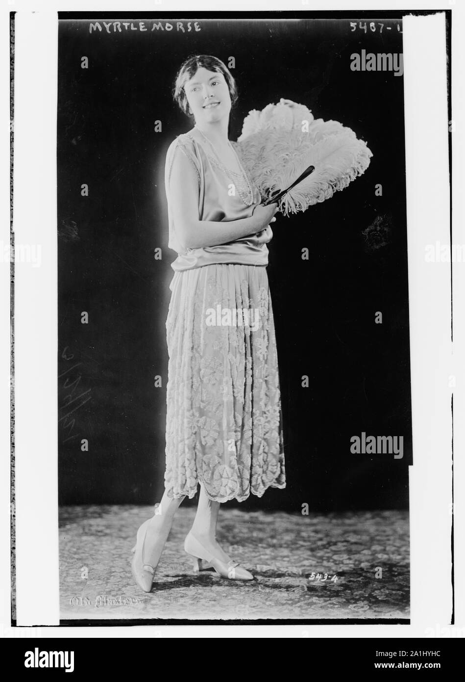 Morse di mirto Foto Stock